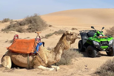 Desert & Beach Quad Biking Tour + Camel Ride