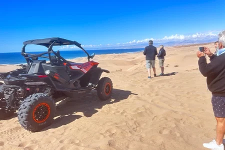 Desert & Beach Buggy Tour + Camel Ride